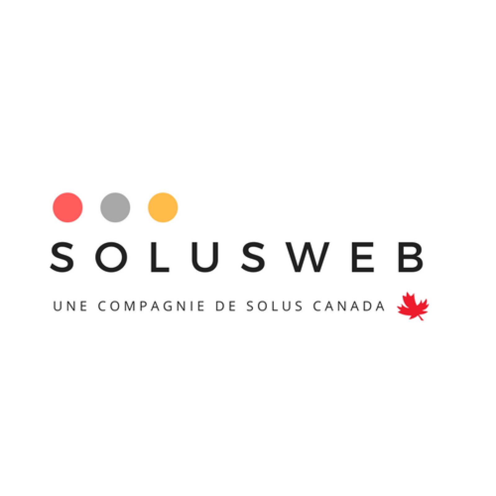 SolusWeb Logo